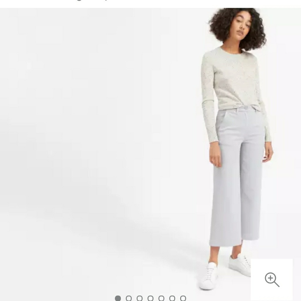 Everlane Wide Leg Crop Harbor Mist